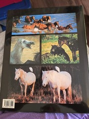 Such is the Real Nature of the Horses by Robert Vavra