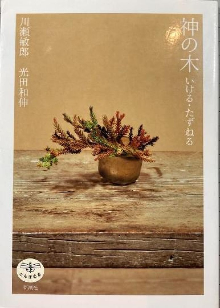 Toshiro Kawase – „God’s Tree: Go/Visit” Japanese sacred tree art