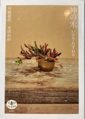 Toshiro Kawase – „God’s Tree: Go/Visit” Japanese sacred tree art
