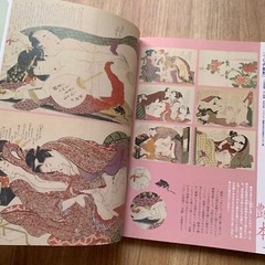 Hokusai Katsushika The genius Ukiyo-e Painter Artworks Collection Book 2016