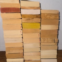 Fantasy/Science Fiction Vintage/Modern Lot 42 PB Book Mixed Authors & Titles B