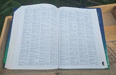 SCARCE! 1995 NASB Ryrie Study Bible Thumb Indexed HCDJ 1995c. USA GOOD+