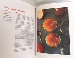 New America the Great Cookbook by Joe Yonan 100 Finest Chefs Recipes + Photos
