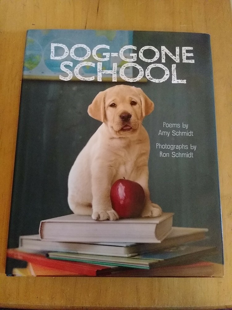 Dog-Gone School by Amy Schmidt (2013, Picture Book)