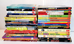Boys 3rd/4th/5th/6th Grade Chapter Books Lot of 42 Homeschool PB Scholastic