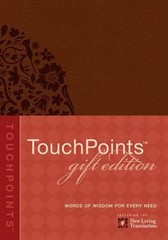 Touchpoints Gift Edition by Beers, Ronald A.; Mason, Amy E.