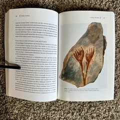 FOSSIL PLANTS SMITHSONIAN’S THE LIVING PAST SERIES Paul Kenrick & Paul Davies