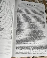 ESV Large Print Value Thinline Bible (Trutone, River Stone, Branch Design): New