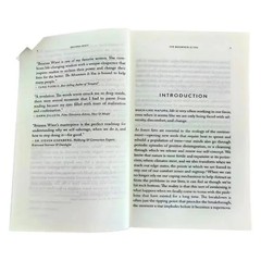 The Mountain Is You: Transforming Self-Sabotage Into Self-Mastery Paperback