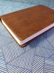 ESV Concise Study Bible (TruTone, Brown): Holy Bible, English Standard Versi…