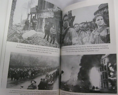 Defeat of Nazi Germany in West WWII 9 Book Lot History Nuremberg WWII Bombing