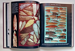 GOLD EDTION Who’s Who in Indian Relics No. 9 – 400 Pages – High Quality Photos