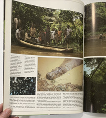 Tropical Rainforests of the World Rupert Matthews Nature Wildlife Photography