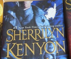 Sherrilyn Kenyon Dark Hunter League + Lot of 15 Mixed Titles