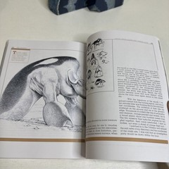 Wayne Douglas Barlowe Expedition (Paperback)
