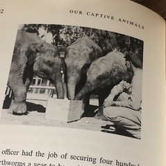 ‘OUR CAPTIVE ANIMALS’- J.J. McCOY-1971-RARE 1ST EDITION HC/DJ- EXOTIC & DOMESTIC