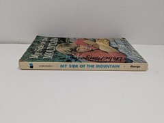 My Side of the Mountain by Jean George Vintage Paperback Book Scholastic Book