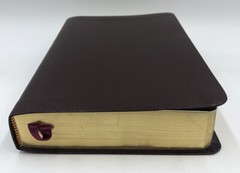 Sonrise Daily Devotional Bible~Thomas Nelson 2004 Bonded Leather ~ Burgundy