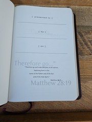 VG! TNIV Large Print Thinline Bible Deep Burgundy Bonded Leather OOP