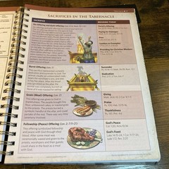 Rose Book of Bible Charts, Maps, and Time Lines: Full-Color Bible Charts, Illust