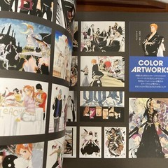Bleach EX 20th Anniversary Exhibition Art Book THE BRAND NEW BLACK Illustration
