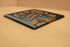 How to Catch an Elf (2016, Hardcover) by Adam Wallace & Andy Elkerton