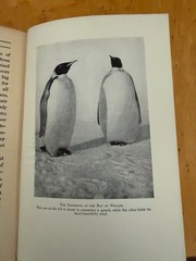 Six Whaling Adventures, Early 20th Century Books–All First Editions