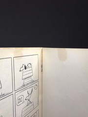 Vintage Snoopy & Snoopy Come Home Charles Schulz Paperback Comic Books Lot Of 2