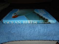 Ocean Birds Lars Lofgren 1984 HC/DJ 1st Edition Orinthology SEABIRDS Textbook