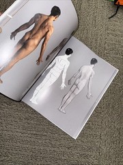 ANATOMY FOR ARTISTS: A VISUAL GUIDE TO THE HUMAN FORM By 3dtotal Publishing NEW