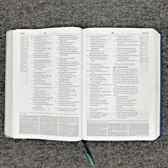 Christian Standard CSB Disciple’s Study Bible Navy/Mist LeatherTouch Holman HTF