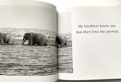 Book” Yo Bro!: My Brother, My Friend” by Tom Burns size 6.5×6.5in.