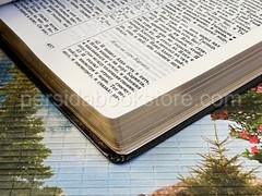 RUSSIAN BIBLE SCOFIELD Русская Библия с комментариями Скоуфилда