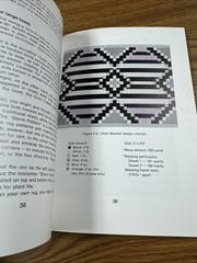 Designing with the Wool : Advanced Techniques in Navajo Weaving Noel Bennett PB