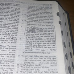 PROPHECY STUDY BIBLE NKJV NELSON 1465B GENUINE BONDED LEATHER JOHN HAGEE INDEXED