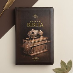 Biblia con Cierre Letra Gigante Manual 14 puntos RV1960 imit piel negro con i…