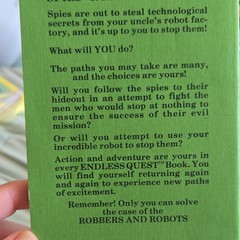 Endless Quest Robbers and Robots Paperback by Mike Carr – Adventure Spies