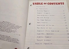 Scholastic Explosive Reactions Experiment Log + Science Secrets by Troll ~ NEW