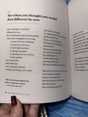 Lives We Actually Have | 100 Blessings for Imperfect Days | by Kate Bowler | HC
