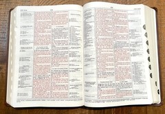 French Thompson Chain Ref. Bible, 1979 La Colombe, Thumb Idx. Brown Faux Leather