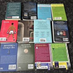 Lot of 12 Chapter Books BOYS Youth Early Reader Young Adults Children Adventure