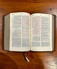 RARE: Charles Ryrie Study Bible NKJV, Premium American Bison Leather Binding