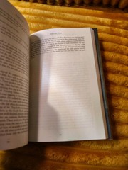 Inside With Felons By Paul R Jordan