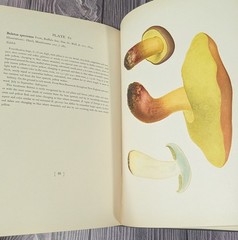 Icones Farlowianae – 1929 Farlow Fungi Mushrooms 103 Color Plates – Large Folio