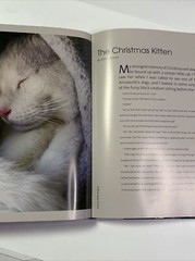 Cats 24/7 Extraordinary Photographs Of Wonderful Cats 2005 Hardcover 190 Pages