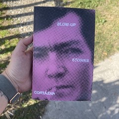 Blow-Up : And Other Stories by Julio. Cortázar (1985, Trade Paperback)