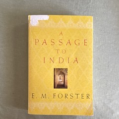 Mariner A Passage to India 75th Anniversary Paperback Novel by E. M. Forster