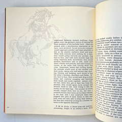 EQUUS by Robert Vavra – First Edition 1977 Hardcover Vintage
