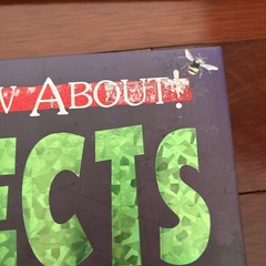 World of Wow, Set Of 4 Books, Body, Insects, Universe, Planets