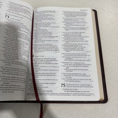 Holy Bible Tyndale Slimline Reference Edition ~ 2004 Bonded Leather Burgundy NLT